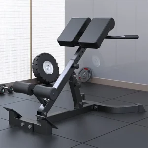 Folding Chair Back Extension Bench, Adjustable Hyperextension Bench – Portable Lower Back Exercise Machine for Core Strength